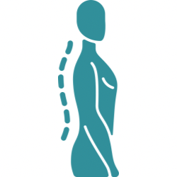 Good posture and spinal alignment