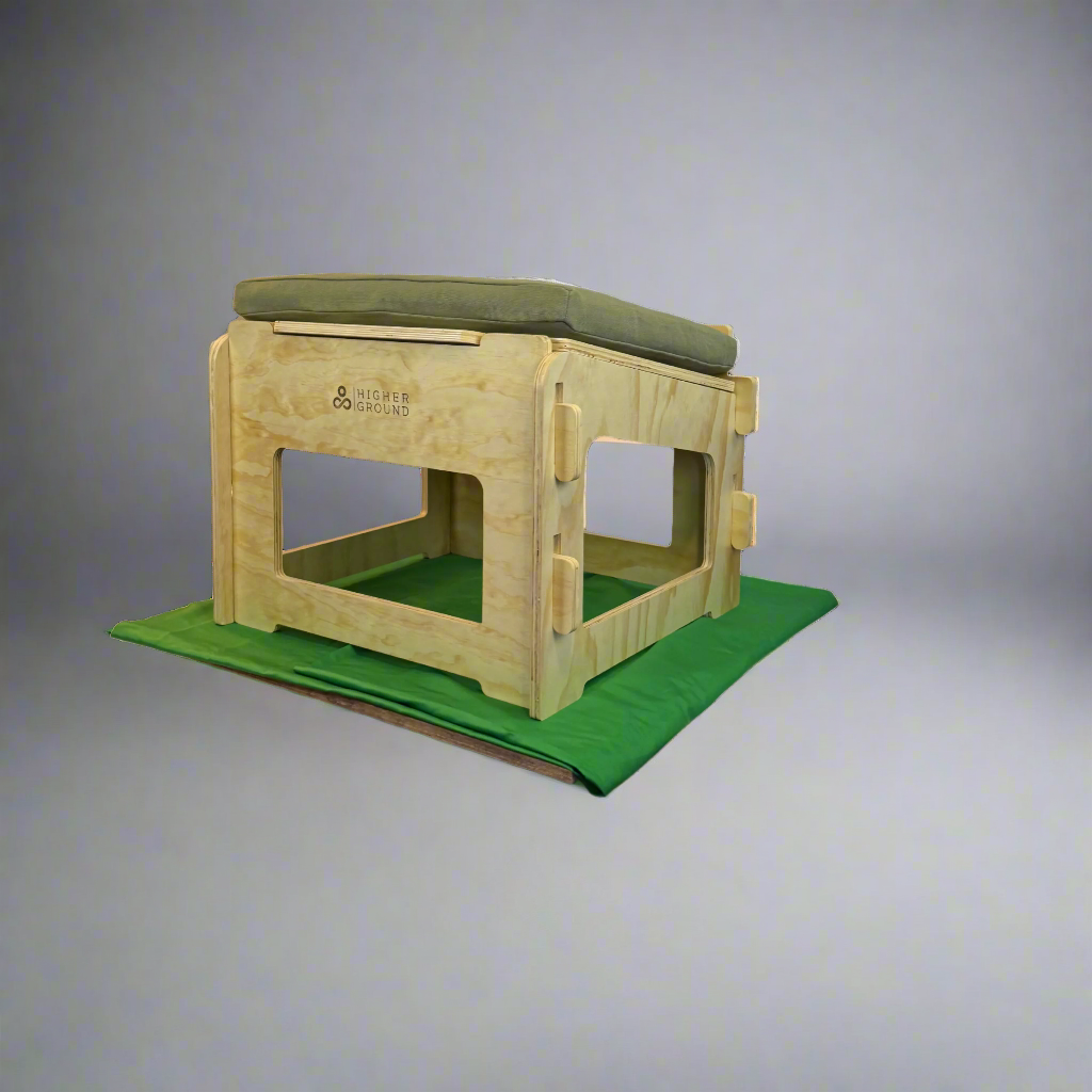 Higher ground chair with cactus cushion