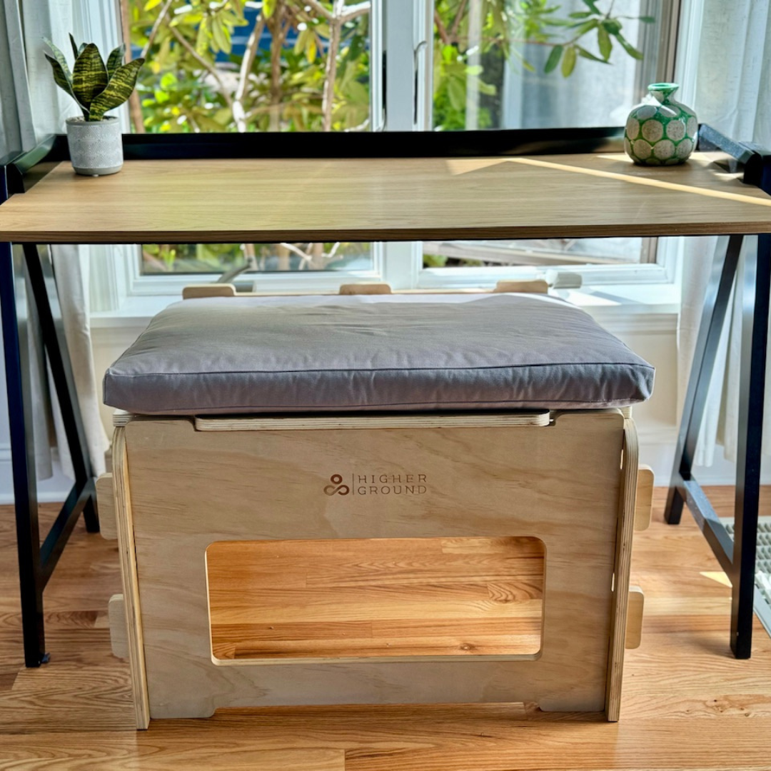 Higher Ground Chair with a grey cushion, in front of desk from back view perspective