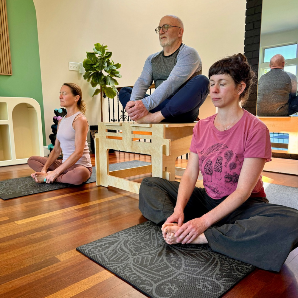
                      
                        Two women in yoga pose on floor with mature hobbit on higher ground chair
                      
                    